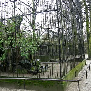 Old bird of Prey aviaries