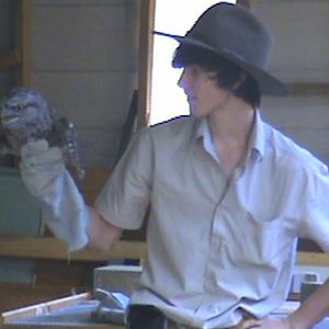 Humbug Scrub Wildlife Presentations - Tawny Frogmouth