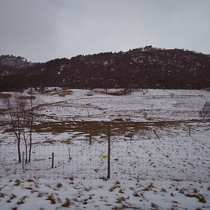 View over the reserve at HWP