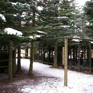 Forest habitat enclosures at HWP
