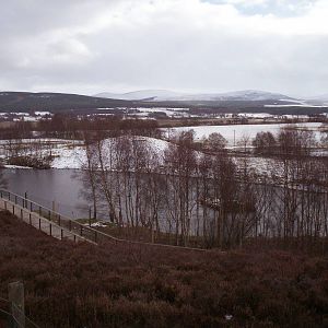 Japanese macaque enclosure and boardwalk at HWP