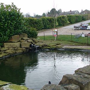 Smaller pond