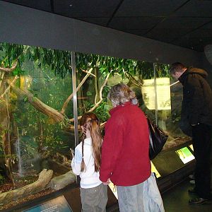 Vivarium at Manchester Museum