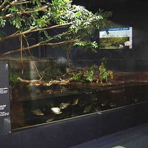 Napier Aquarium