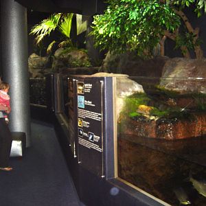 Napier Aquarium