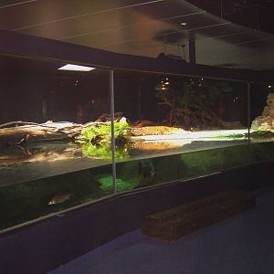 Napier Aquarium