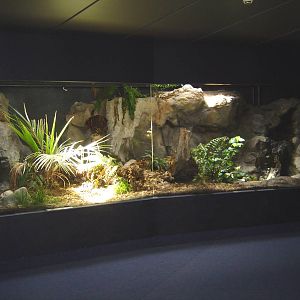 Napier Aquarium