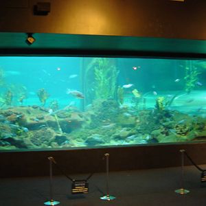 Napier Aquarium