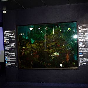 Napier Aquarium