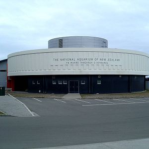 Napier Aquarium