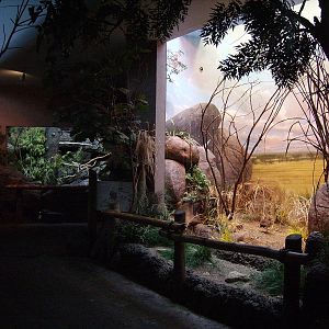 Interior of Bird House