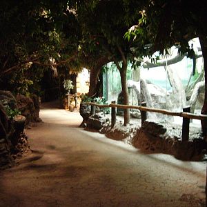 Jungle Trails - Africa Building Interior