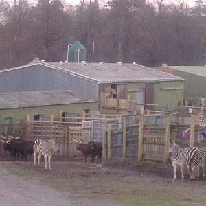 West Midlands February 2008