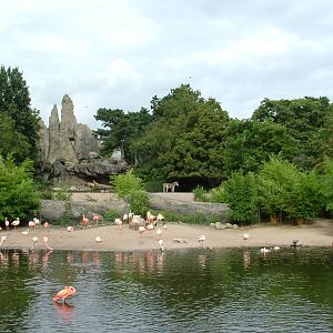 African Panorama at Hagenbecks, Hamburg