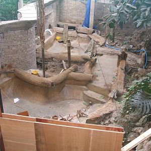 Unfinished Philippine Crocodile Pool