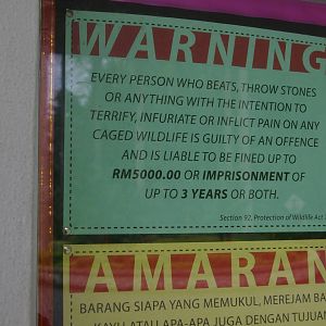 Zoo Negara sign (KL)