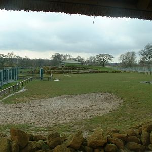 Mixed African Paddock - Africa Alive! 2008