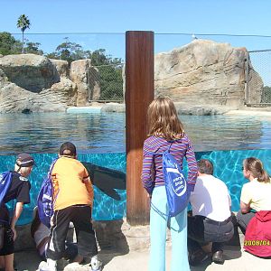 Taronga's great southern Oceans