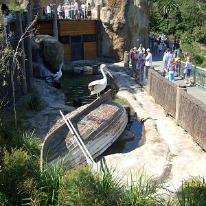 Taronga's great southern Oceans