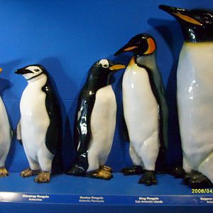 Taronga's great southern Oceans