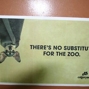Calgary zoo sign