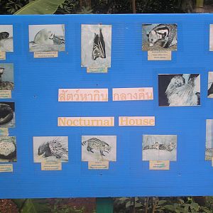 Nocturnal house sign - Chaing-mai