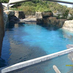 Taronga's great southern Oceans