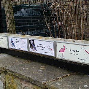 Sign for unusual mixed aviary