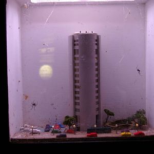 redback tank, Melbourne Aquarium