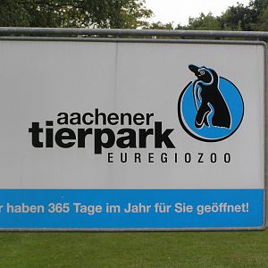 Aachen zoo 06