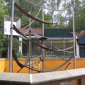 Coati exhibit - Aachen zoo 06