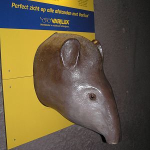 Tapir  hand dryer - Burgers 06