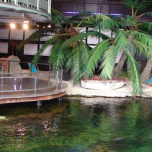 Nausicaa sealife Centre