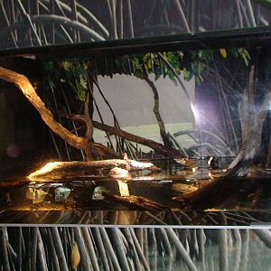 Nausicaa Sealife Centre