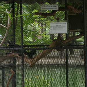 squirrel cage, Dusit Zoo (Bangkok)