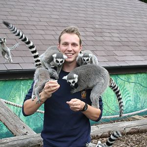 Me at work! - Belfast