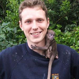 Me and a baby purple-faced langur I was hand rearing 06