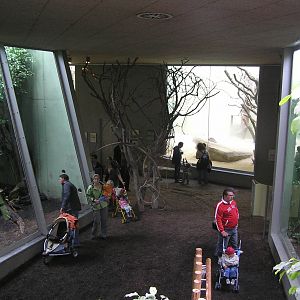 Public area inside asian cat house Frankfurt 06