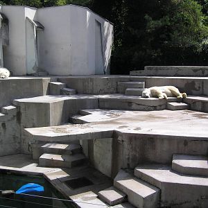 Polar bear exhibit - Mulhouse 06