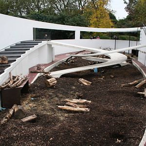 Porcupines - London 07