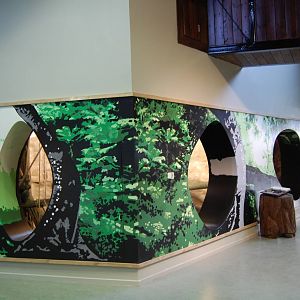 Budongo Trail at Edinburgh Zoo