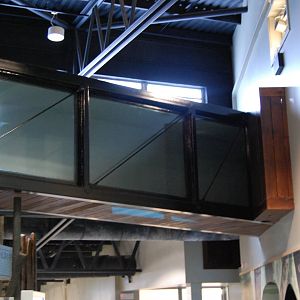 Budongo Trail at Edinburgh Zoo