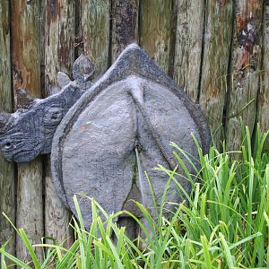 Rhino model - Chester 06