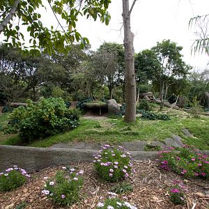 Gorilla enclosure - Sep 2008