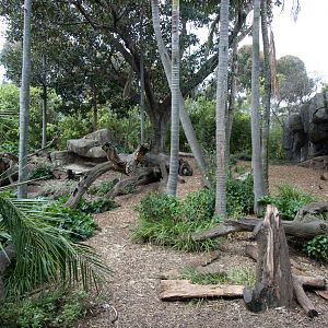 Mandrill Enclosure - Sep 2008