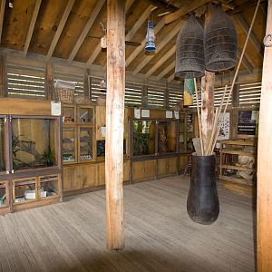 invertebrates - Sep 2008