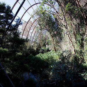 Great Flight Aviary - Sep 2008