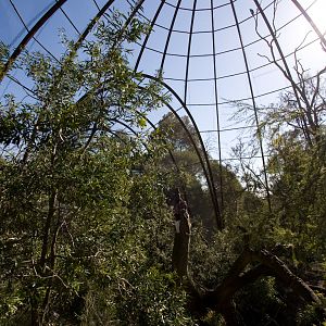 Great Flight Aviary - Sep 2008