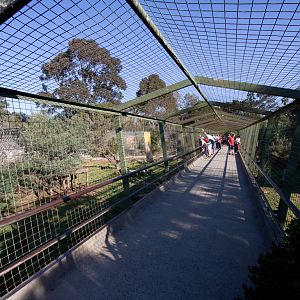 Raised walkway above the Lions - Sep 2008