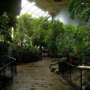 Diversity Aviary